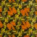 Feuilles jaunes