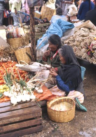 Oaxaca