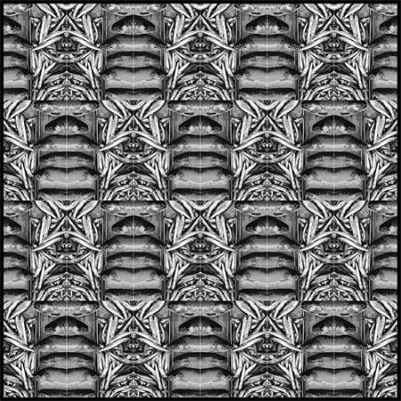 Poissons