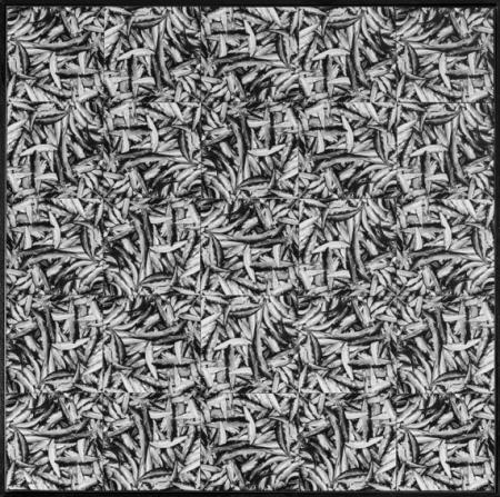 Poissons